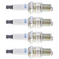 0217-700 Spark Plug   Jag Panther Pantera Bearcat    440 600 800 4 Pack