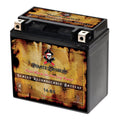Pirate Battery - (14- 12 Volt,12 Ah, 200 ) Motorcycle Battery for Honda 1100cc Vt1100c, ,  Shadow (spirit, Aero, . . . Tourer) 2007
