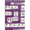 Productive Fitness  Resistance Tubing Back, Legs, Biceps, Chest and Triceps - Laminated