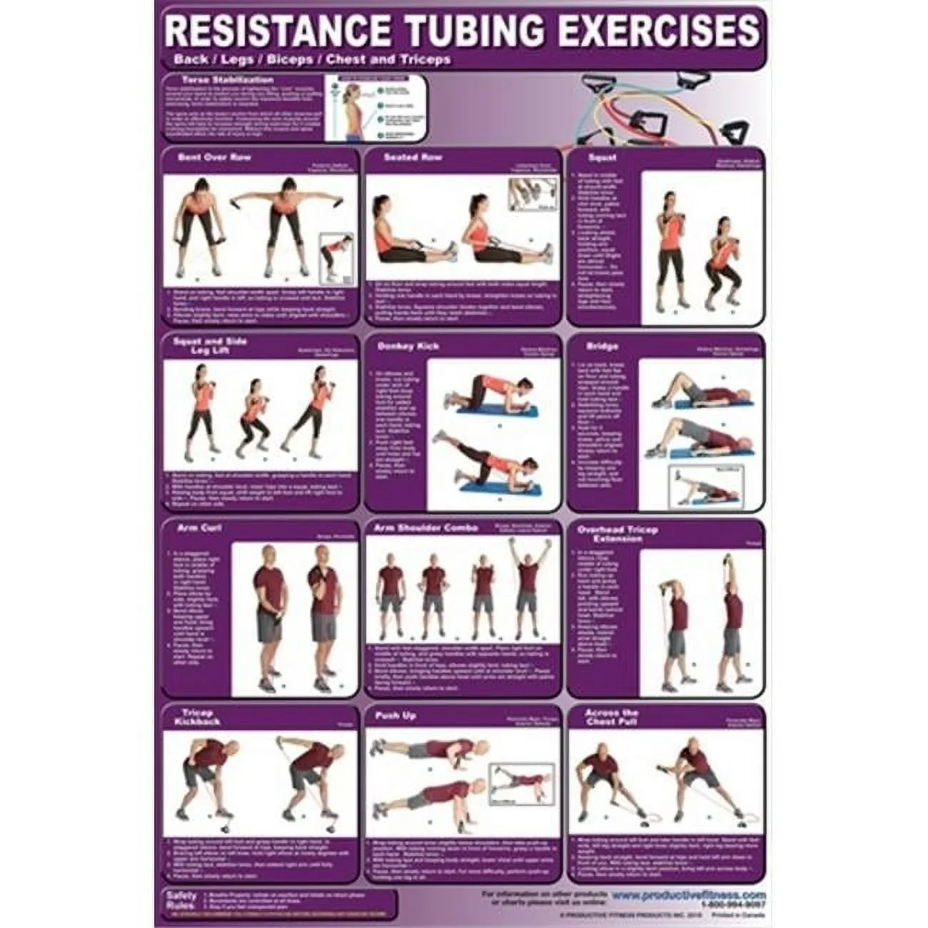 Productive Fitness  Resistance Tubing Back, Legs, Biceps, Chest and Triceps - Laminated