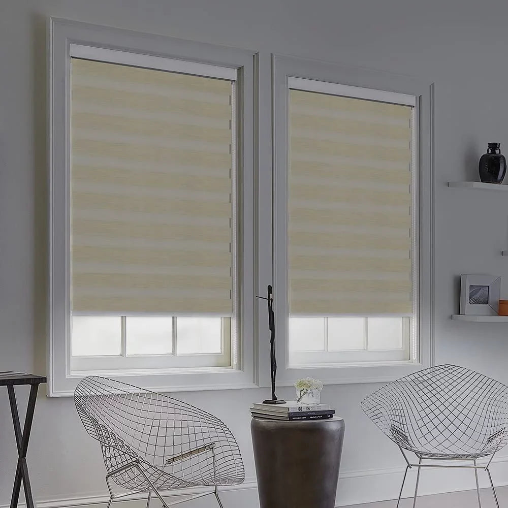Zebra Blinds for Windows, Dual Layer Roller Sheer Shades Blinds for Day and Night, Light Control Window Treatments Shades with Valance Cover, 29"  x 72" , Striped Beige