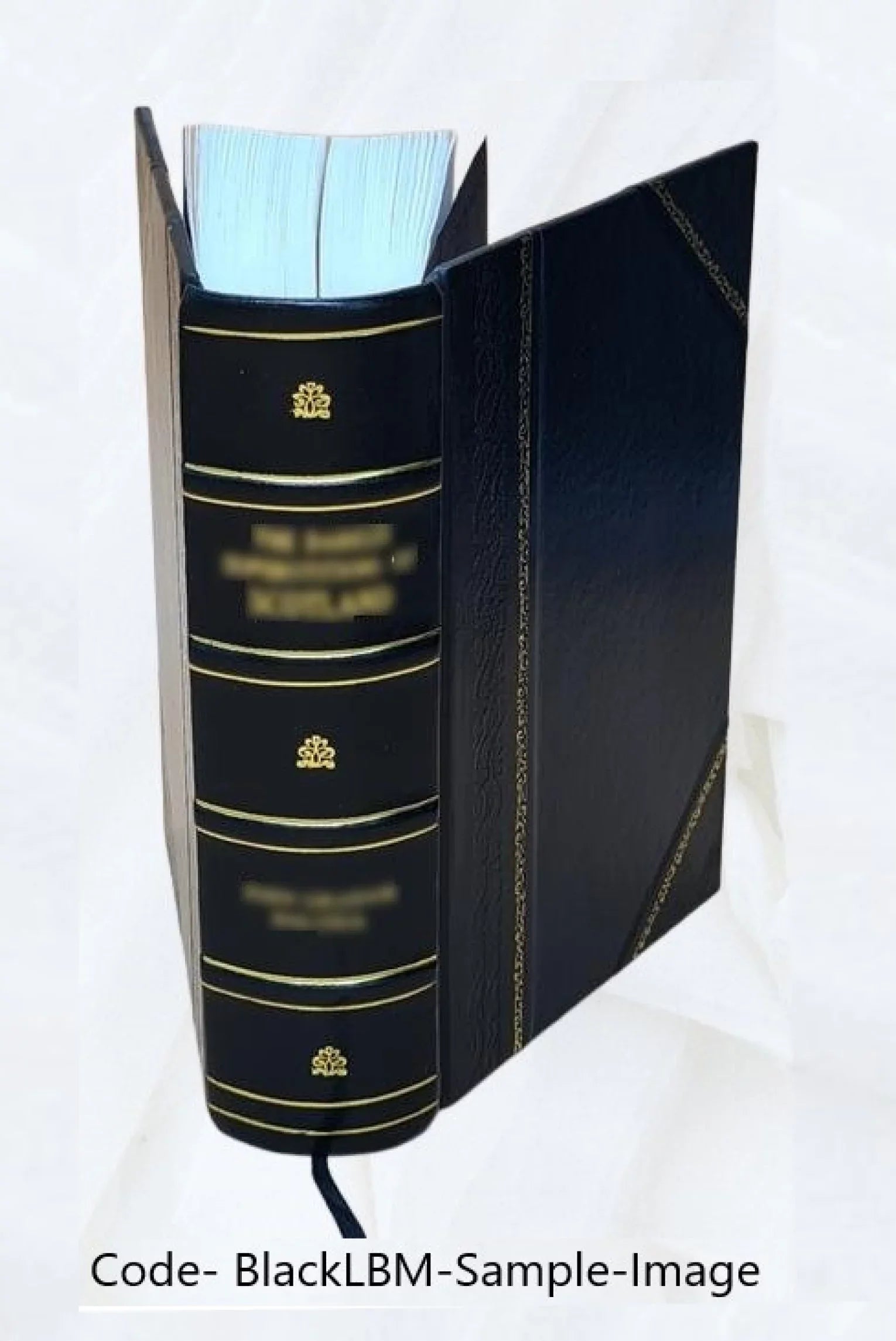 Museum of antiquity; a description of ancient life: the employments, amusements, customs and habits, the cities, places, monuments and tombs, the literature and fine arts of 3,000 years ago 1882 [Leat