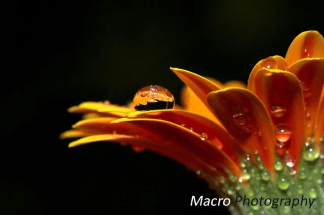 Ultra Super  Panoramic Fisheye Lens For Panasonic - -