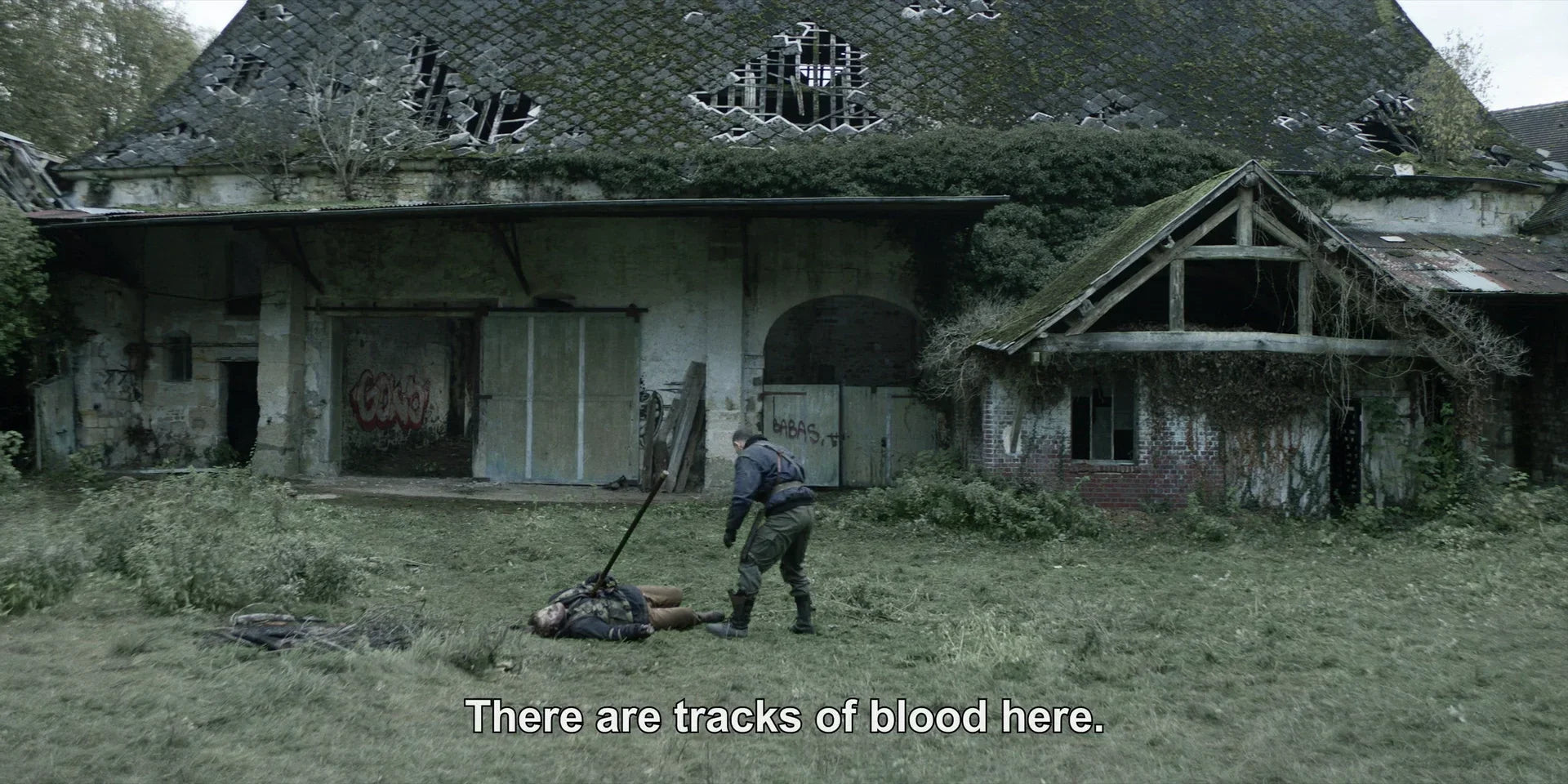 The Walking Dead: Daryl Dixon (2023) (Season 1) dvd