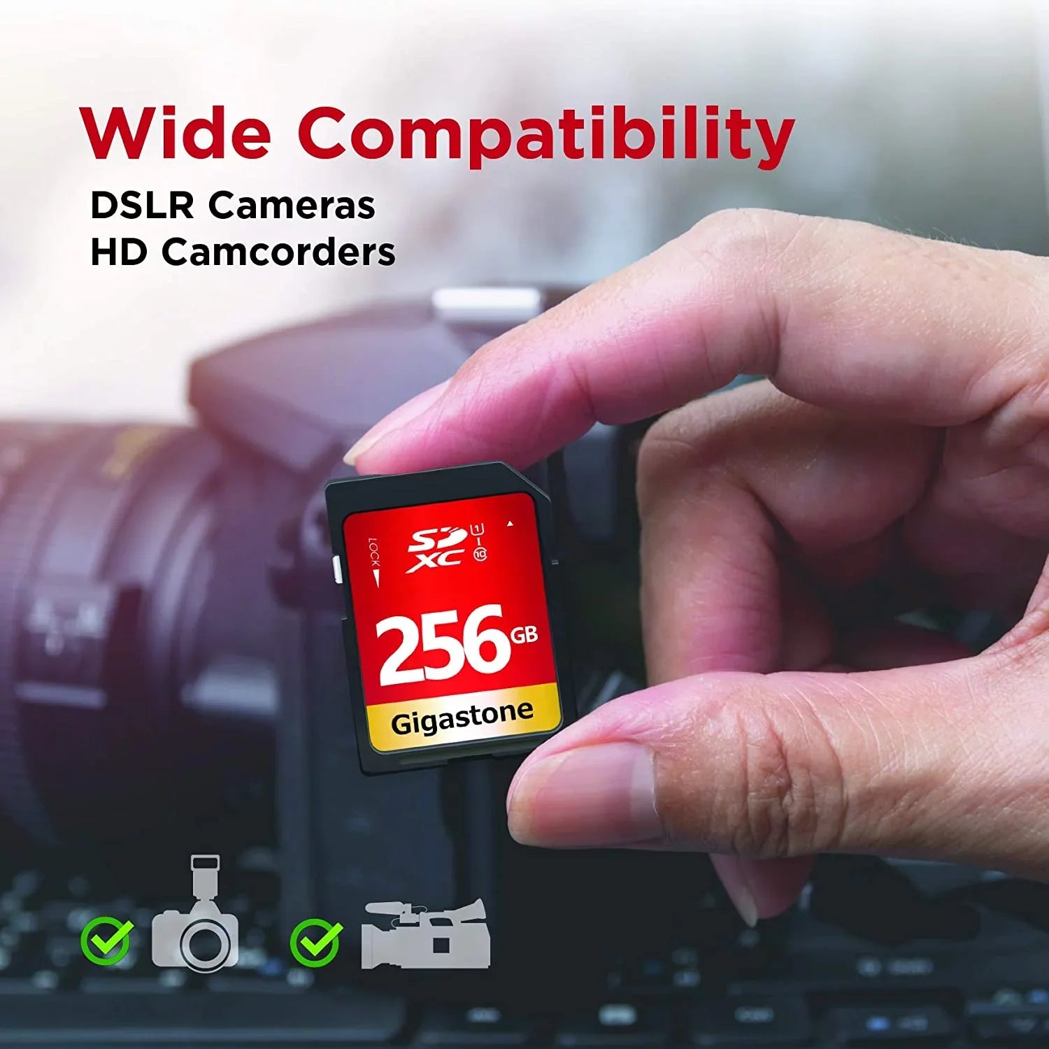 Gigastone 256GB  Card -  Class 10  Memory Card High Speed Full  Video Canon Nikon Sony Pentax Kodak Olympus Panasonic Digital Camera