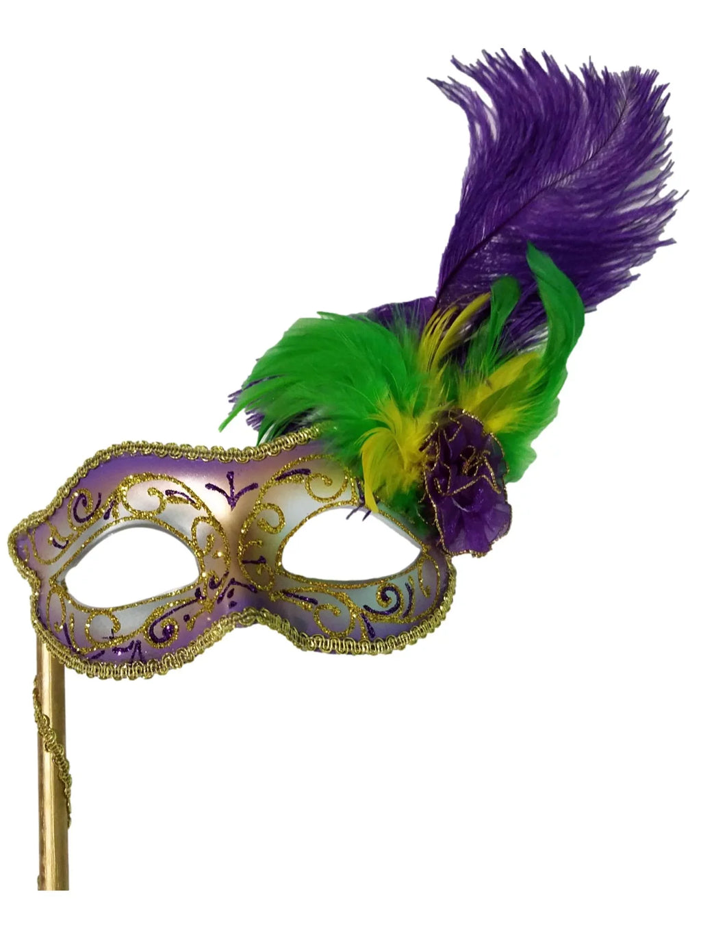 Disguise Mardi Gras Mask with Handle