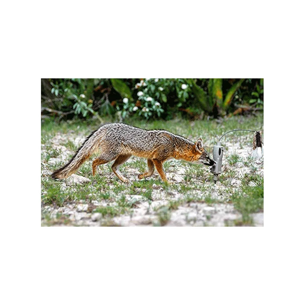ICOtec  Universal Predator Decoy with Speed Dial,  Lights, & Toppers