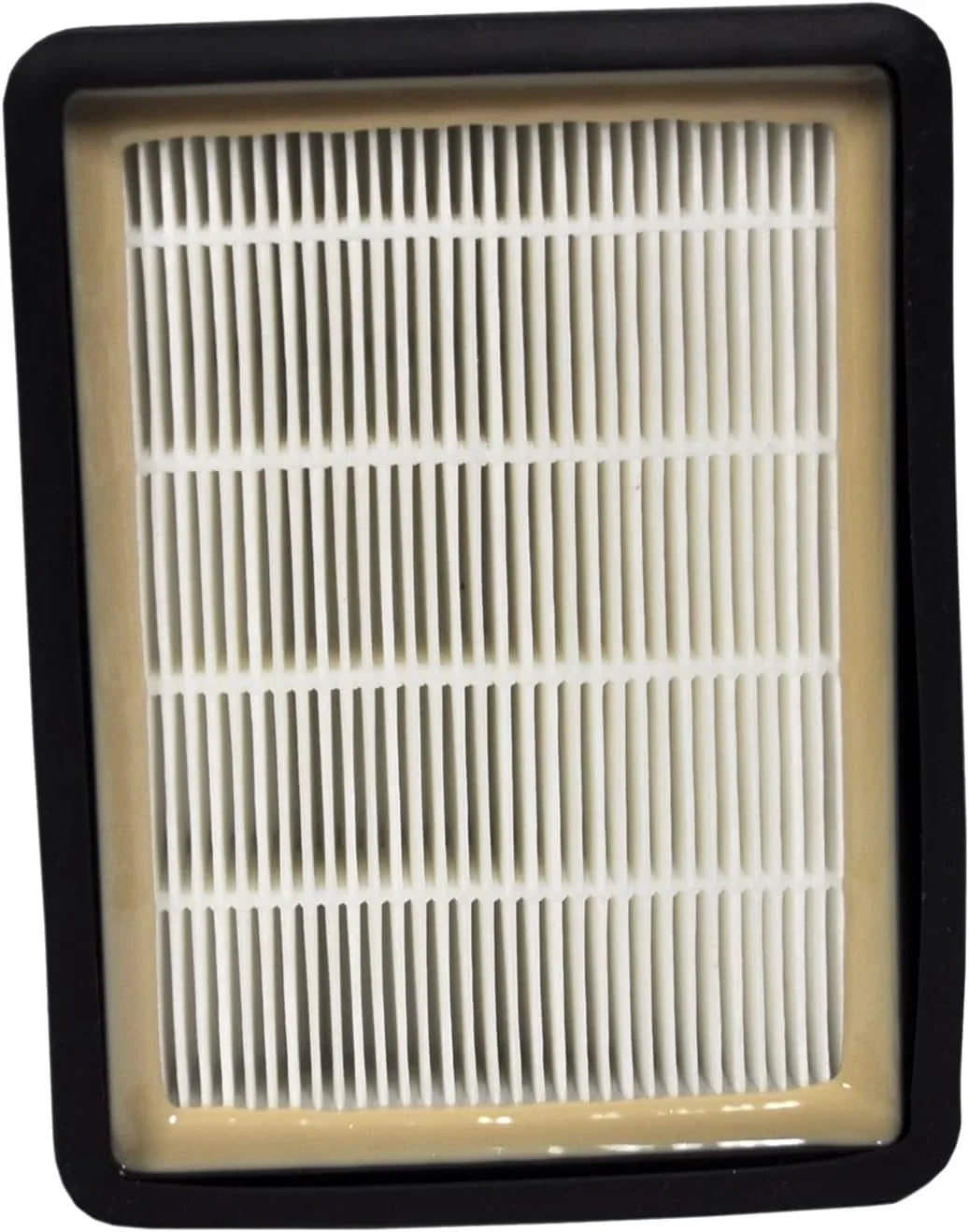 Sanitaire Eon   Series  -50 Vacuum Filter 68904