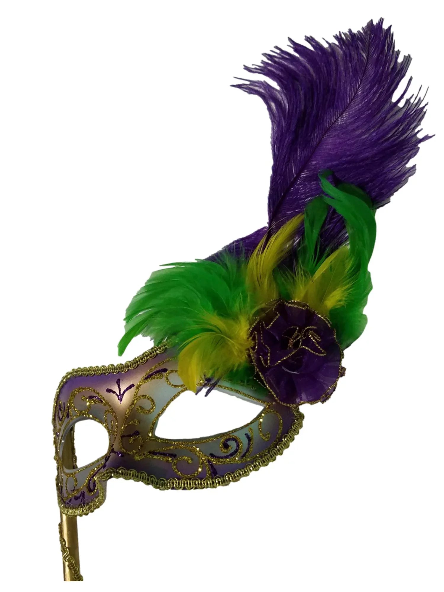 Disguise Mardi Gras Mask with Handle