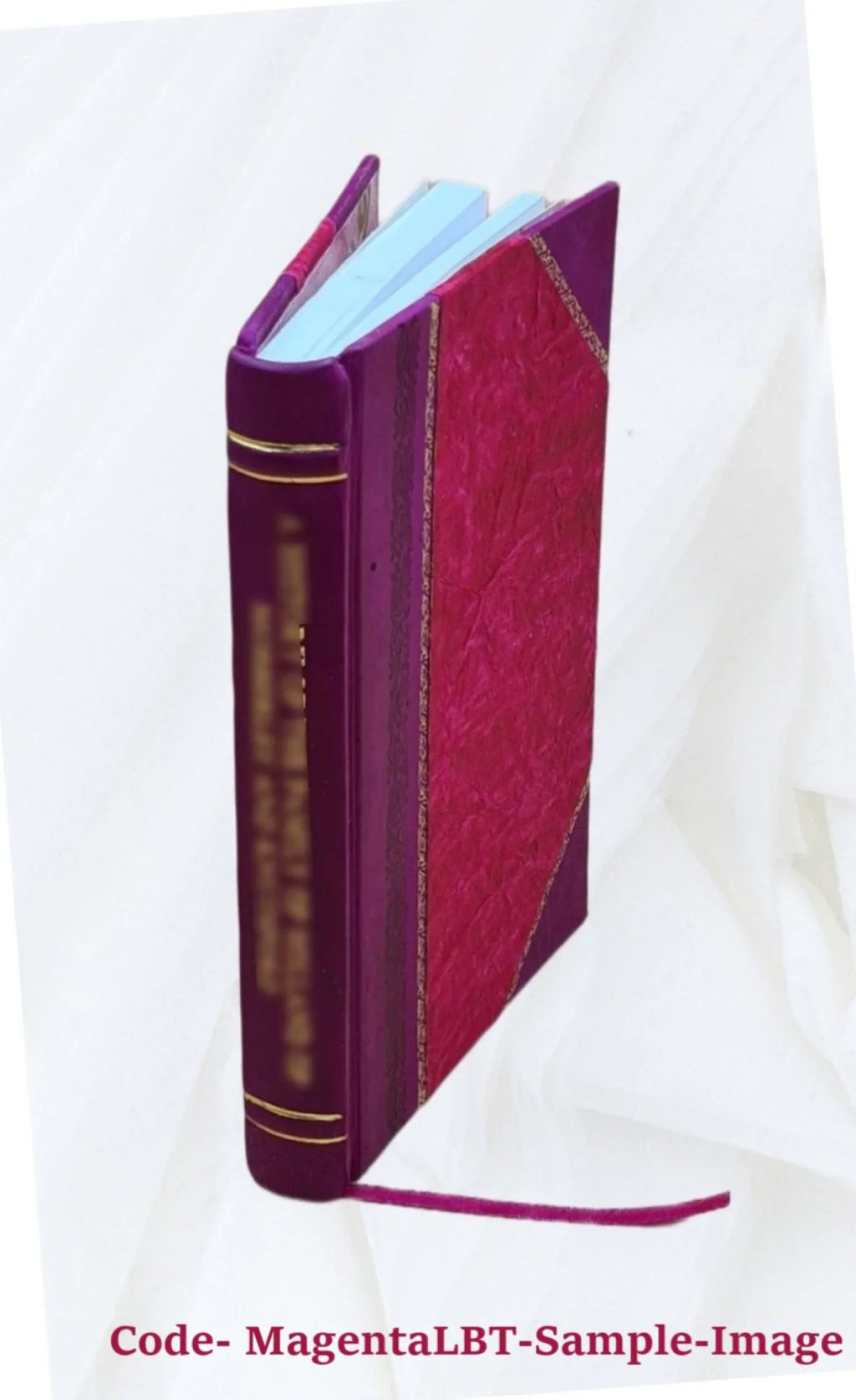 Dell'elettorato politico dissertazione presentata da Edoardo Boglia nell'esame generale di Laurea in Giurisprudenza nel . Ateneo di Siena 1868 [Leather Bound]