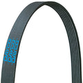 Dayco Poly Rib Belt Sepentine Belt Drive Belt