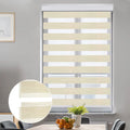 Zebra Blinds for Windows, Dual Layer Roller Sheer Shades Blinds for Day and Night, Light Control Window Treatments Shades with Valance Cover, 29"  x 72" , Striped Beige
