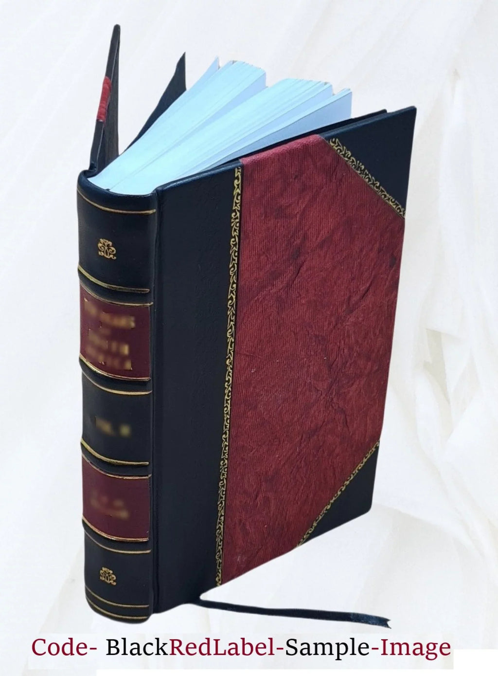 Sackville chase Volume 3 1863 [Leather Bound]