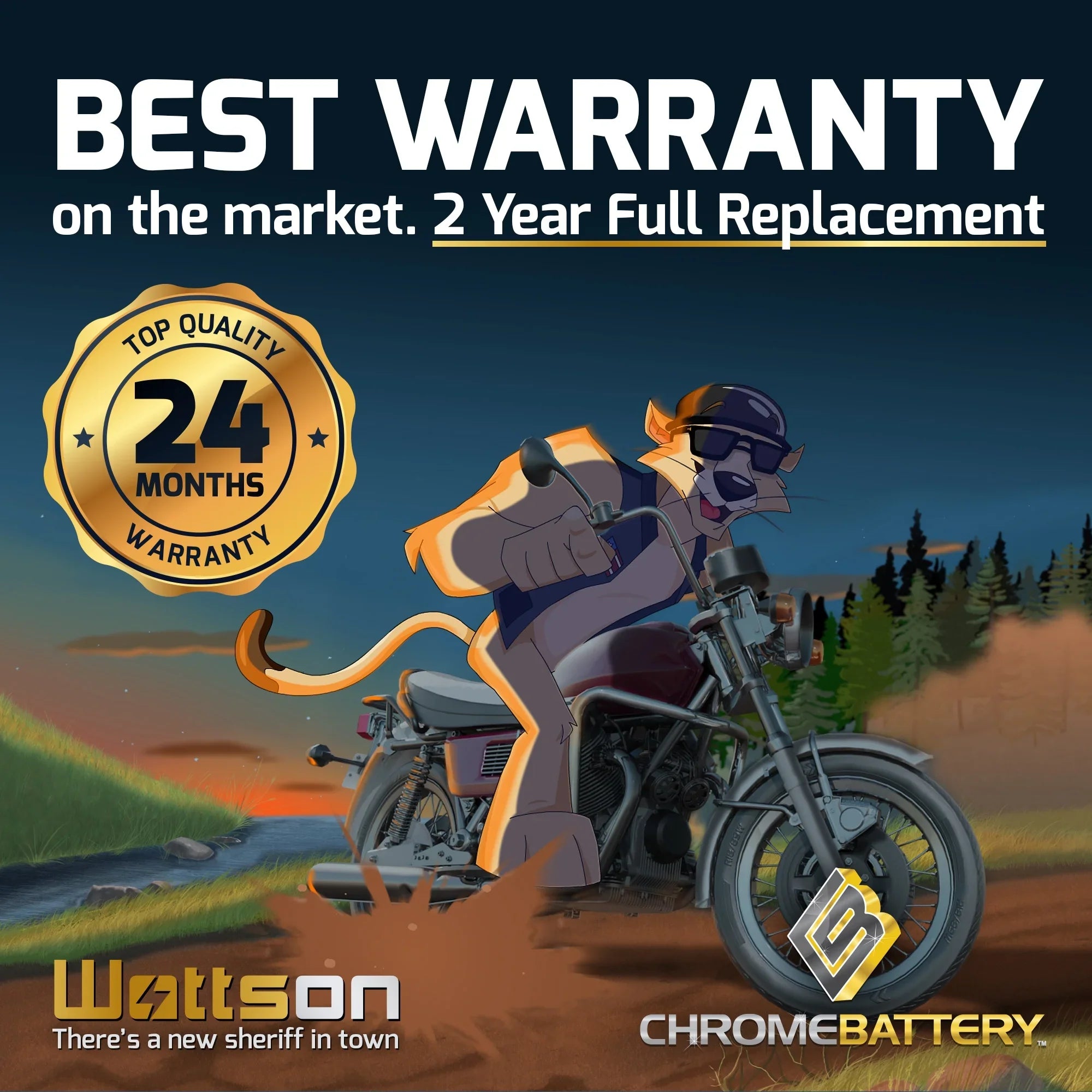 Zipp Battery - (16L- 12 Volt,14 Ah, 230 ) Jet Ski Battery for Kawasaki Jf650 Ts 1990