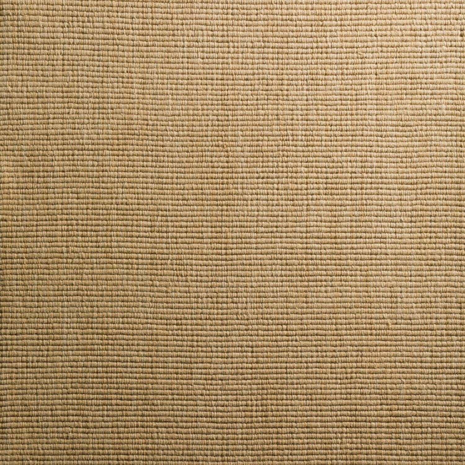 Daylon Sisal  2'' Rug