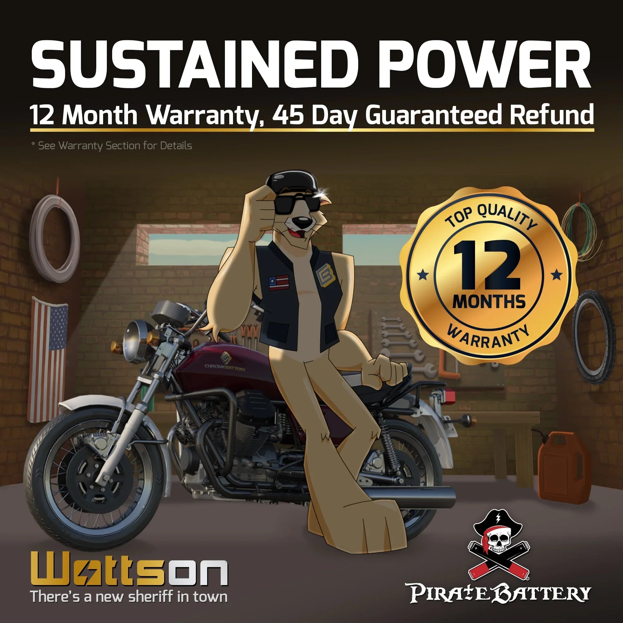Pirate Battery - (14- 12 Volt,12 Ah, 200 ) Motorcycle Battery for Honda 1100cc Vt1100c, ,  Shadow (spirit, Aero, . . . Tourer) 2007
