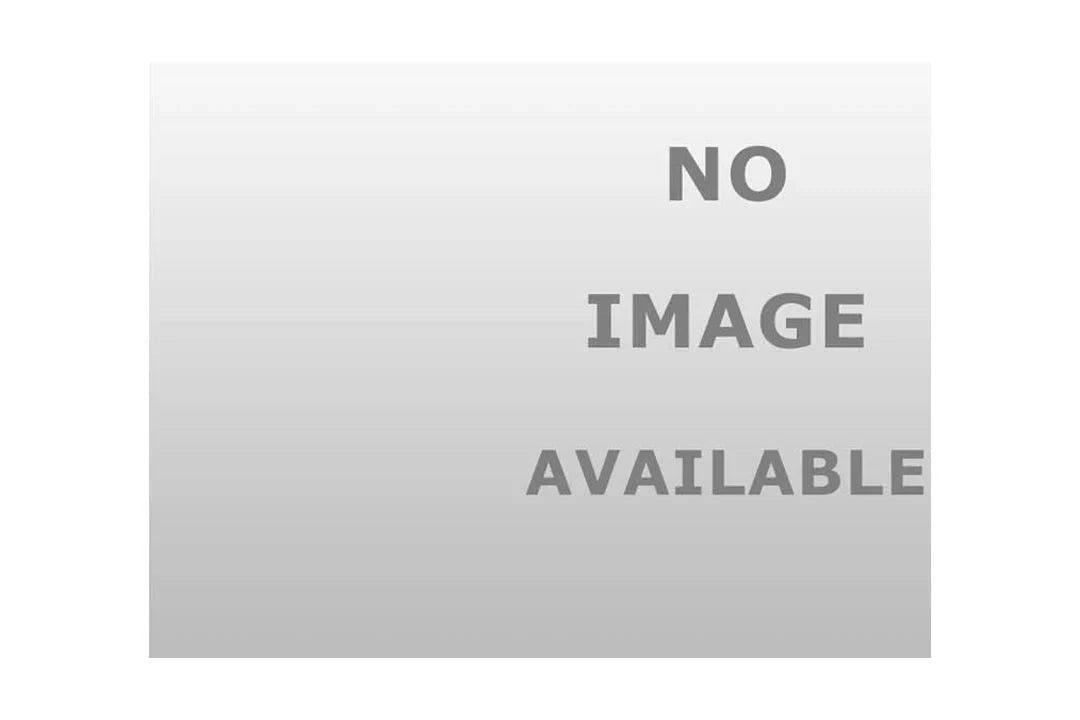Dayco Poly Rib Belt Sepentine Belt Drive Belt