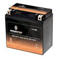 Chrome Battery - (14- 12 Volt,12 Ah, 200 ) Motorcycle Battery for Honda 1100cc Vt1100c, ,  Shadow (spirit, Aero, . . . Tourer) 2003