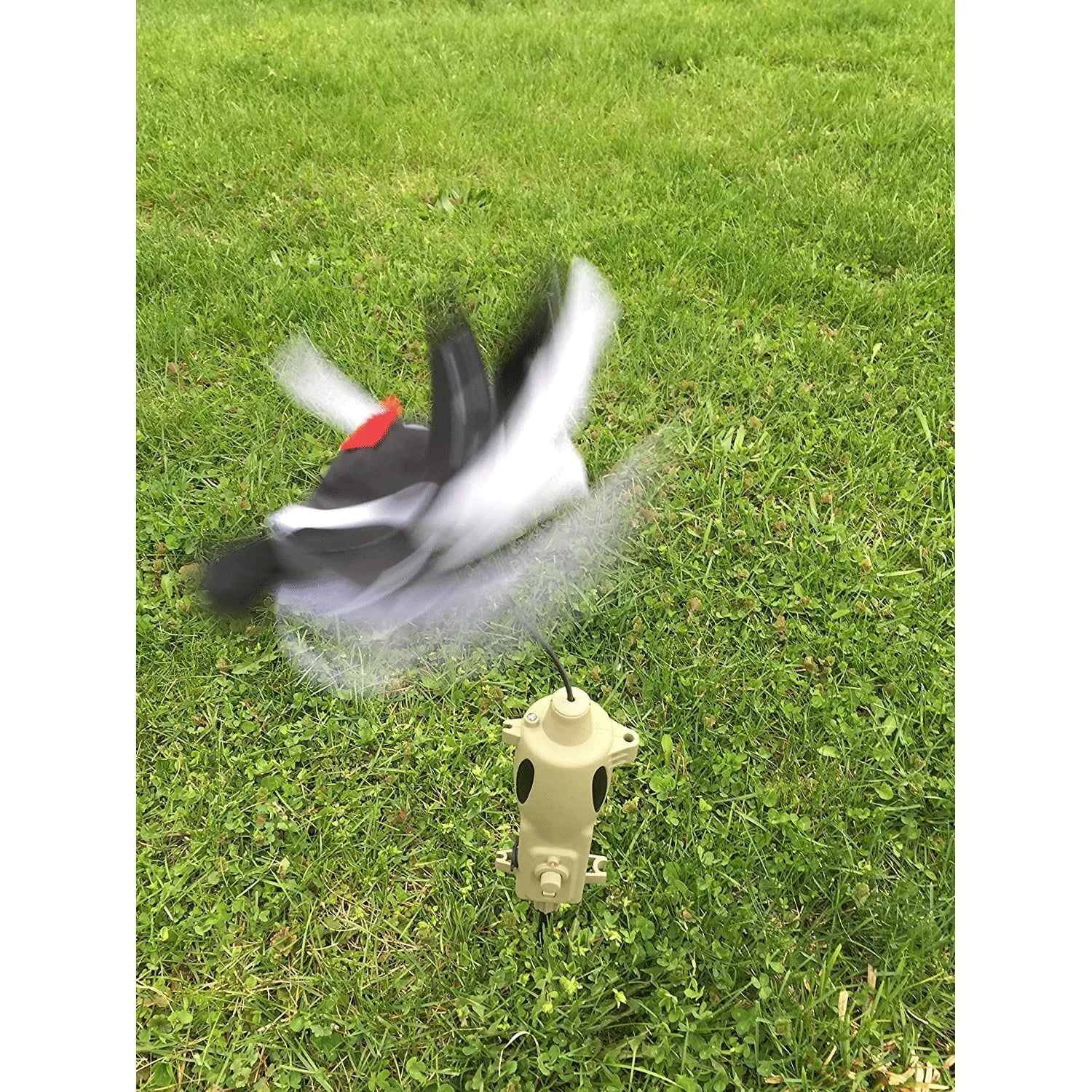 ICOtec  Universal Predator Decoy with Speed Dial,  Lights, & Toppers