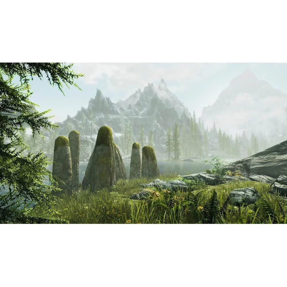The Elder Scrolls : Skyrim Standard Edition - Nintendo Switch