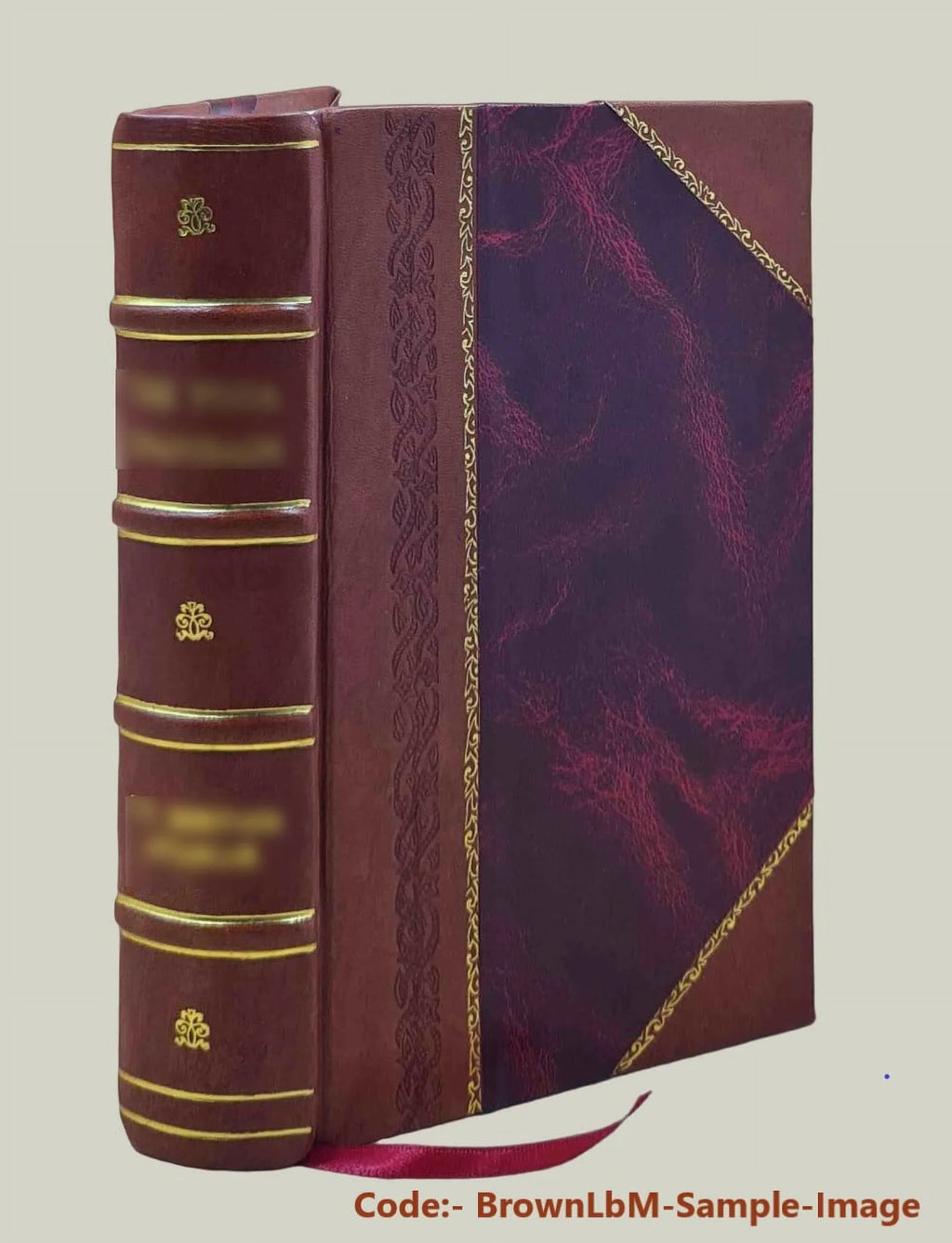 Dictionnaire turc-français : a l'usage des agents diplomatiques et consulaires, des commerçants, des navigateurs, et autres voyageurs dans le Levant Volume 2 1837 [Leather Bound]