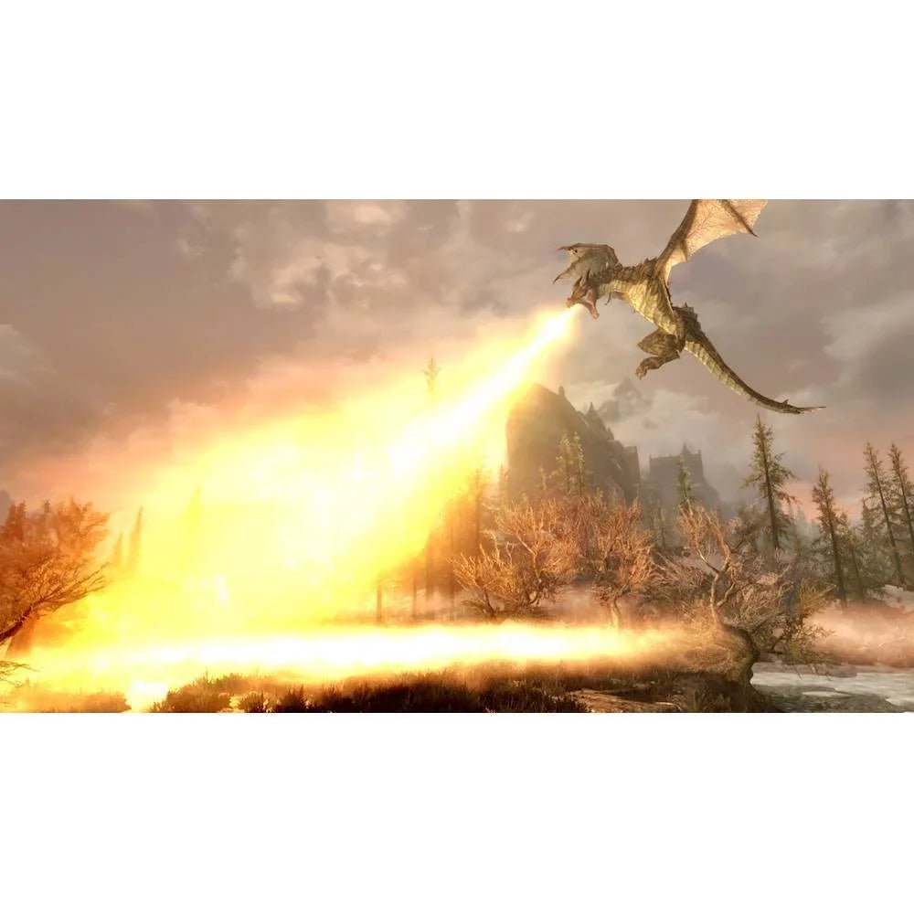The Elder Scrolls : Skyrim Standard Edition - Nintendo Switch